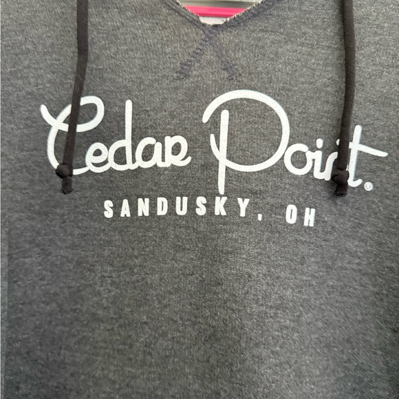 Cedar Point Amusement Park-Unisex Black/Gray Pullover Hoodie-New w/o Tags Size:M - Picture 2 of 6